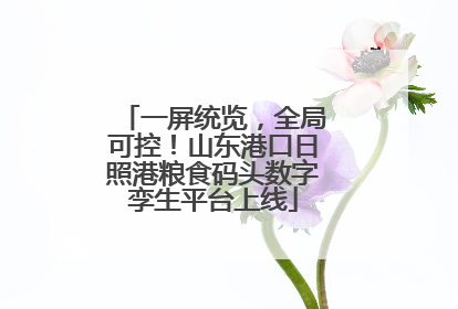 一屏统览，全局可控！山东港口日照港粮食码头数字孪生平台上线