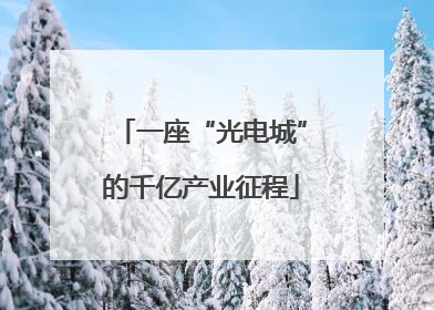 一座“光电城”的千亿产业征程
