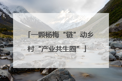 一颗杨梅“链”动乡村“产业共生圈”