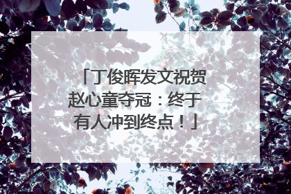 丁俊晖发文祝贺赵心童夺冠：终于有人冲到终点！