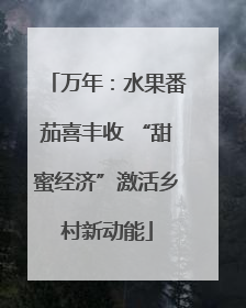 万年：水果番茄喜丰收 “甜蜜经济”激活乡村新动能