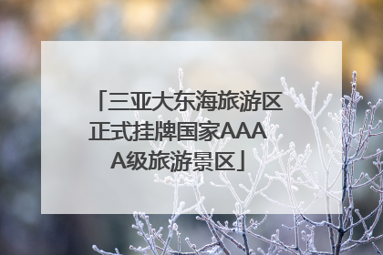 三亚大东海旅游区正式挂牌国家AAAA级旅游景区