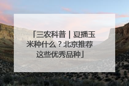 三农科普｜夏播玉米种什么？北京推荐这些优秀品种