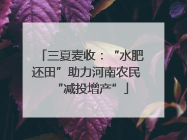 三夏麦收：“水肥还田”助力河南农民“减投增产”