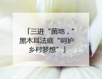三进“菌地，”黑木耳法庭“呵护乡村梦想”