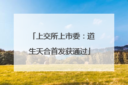 上交所上市委：道生天合首发获通过