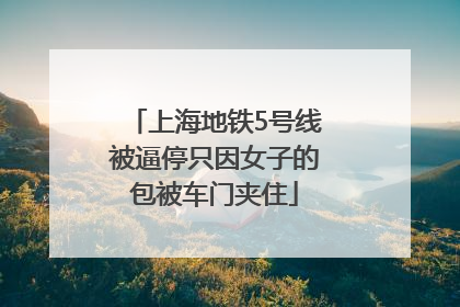 上海地铁5号线被逼停只因女子的包被车门夹住