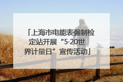 上海市电能表强制检定站开展“5·20世界计量日”宣传活动