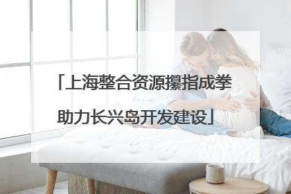 上海整合资源攥指成拳助力长兴岛开发建设