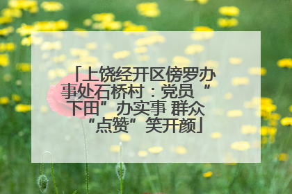 上饶经开区傍罗办事处石桥村：党员“下田”办实事 群众“点赞”笑开颜