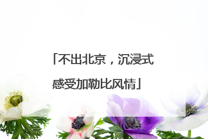 不出北京，沉浸式感受加勒比风情