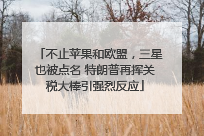 不止苹果和欧盟，三星也被点名 特朗普再挥关税大棒引强烈反应