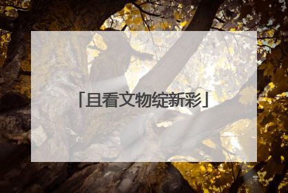 且看文物绽新彩