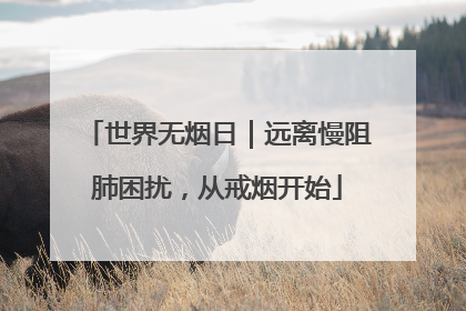世界无烟日｜远离慢阻肺困扰，从戒烟开始