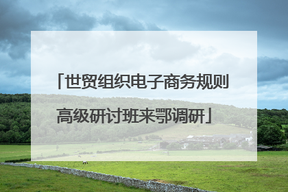 世贸组织电子商务规则高级研讨班来鄂调研