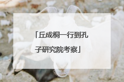 丘成桐一行到孔子研究院考察