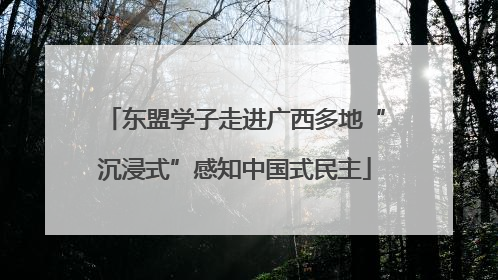 东盟学子走进广西多地“沉浸式”感知中国式民主