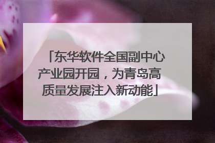 东华软件全国副中心产业园开园，为青岛高质量发展注入新动能