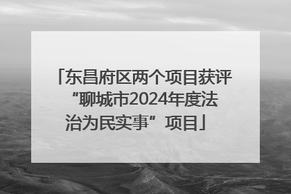 东昌府区两个项目获评“聊城市2024年度法治为民实事”项目