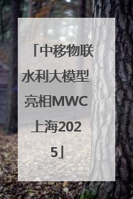 中移物联水利大模型亮相MWC上海2025
