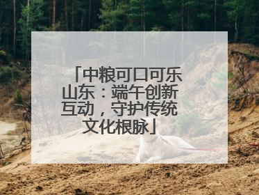 中粮可口可乐山东：端午创新互动，守护传统文化根脉