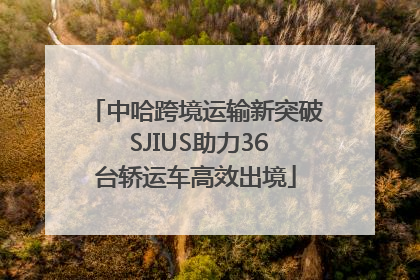 中哈跨境运输新突破 SJIUS助力36台轿运车高效出境