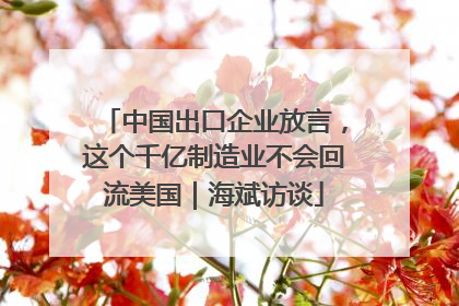 中国出口企业放言，这个千亿制造业不会回流美国｜海斌访谈