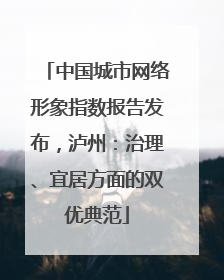 中国城市网络形象指数报告发布，泸州：治理、宜居方面的双优典范