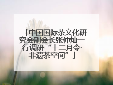 中国国际茶文化研究会副会长张仲灿一行调研“十二月令·非遗茶空间”