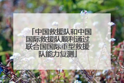 中国救援队和中国国际救援队顺利通过联合国国际重型救援队能力复测