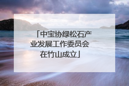 中宝协绿松石产业发展工作委员会在竹山成立