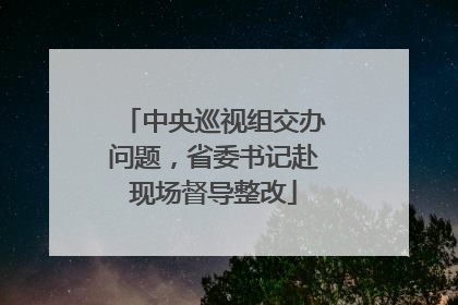 中央巡视组交办问题，省委书记赴现场督导整改