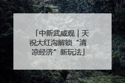 中新武威观｜天祝大红沟解锁“清凉经济”新玩法