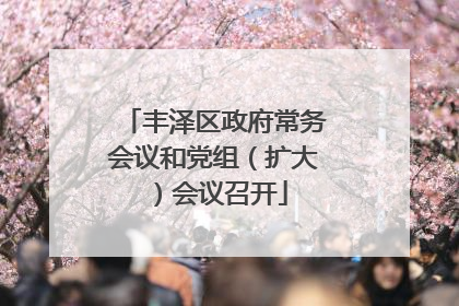 丰泽区政府常务会议和党组（扩大）会议召开