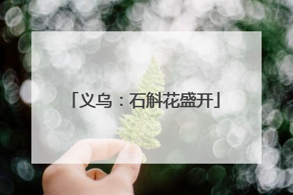 义乌：石斛花盛开