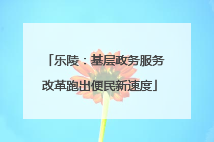 乐陵：基层政务服务改革跑出便民新速度