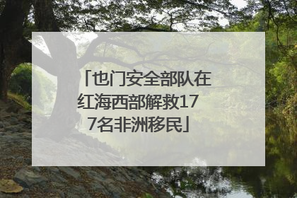 也门安全部队在红海西部解救177名非洲移民