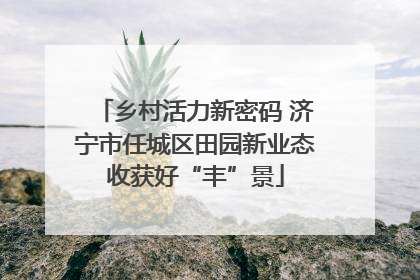 乡村活力新密码 济宁市任城区田园新业态收获好“丰”景