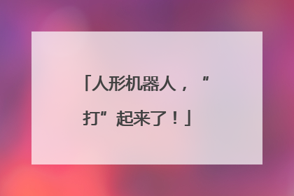 人形机器人，“打”起来了！
