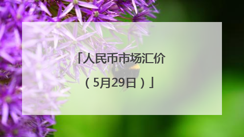 人民币市场汇价（5月29日）