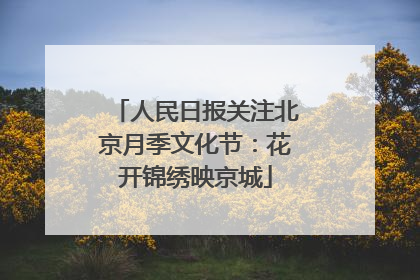 人民日报关注北京月季文化节：花开锦绣映京城