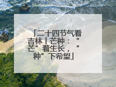 二十四节气看吉林丨芒种：“芒”着生长，“种”下希望