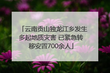 云南贡山独龙江乡发生多起地质灾害 已紧急转移安置700余人