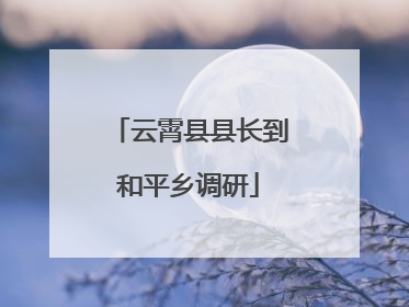 云霄县县长到和平乡调研