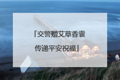 交警赠艾草香囊 传递平安祝福
