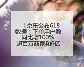 京东公布618数据：下单用户数同比增100% 超百万商家和6亿消费者受益AI