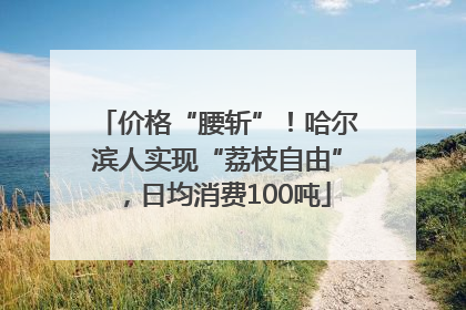 价格“腰斩”！哈尔滨人实现“荔枝自由”，日均消费100吨