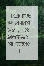 仁科的恐惧与小鹿的迷茫，一次刻意不完美的纪实实验