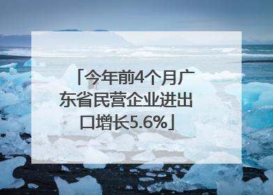 今年前4个月广东省民营企业进出口增长5.6%
