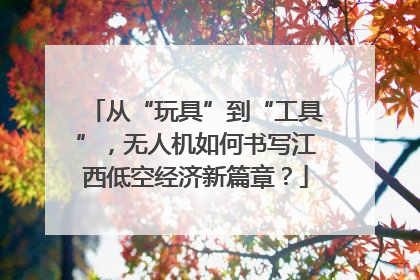 从“玩具”到“工具”，无人机如何书写江西低空经济新篇章？